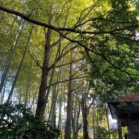 庭付き和モダン平屋の一棟貸し 居庵 Iori-Ori 小さな森に住む Villa Isumi Exterior photo